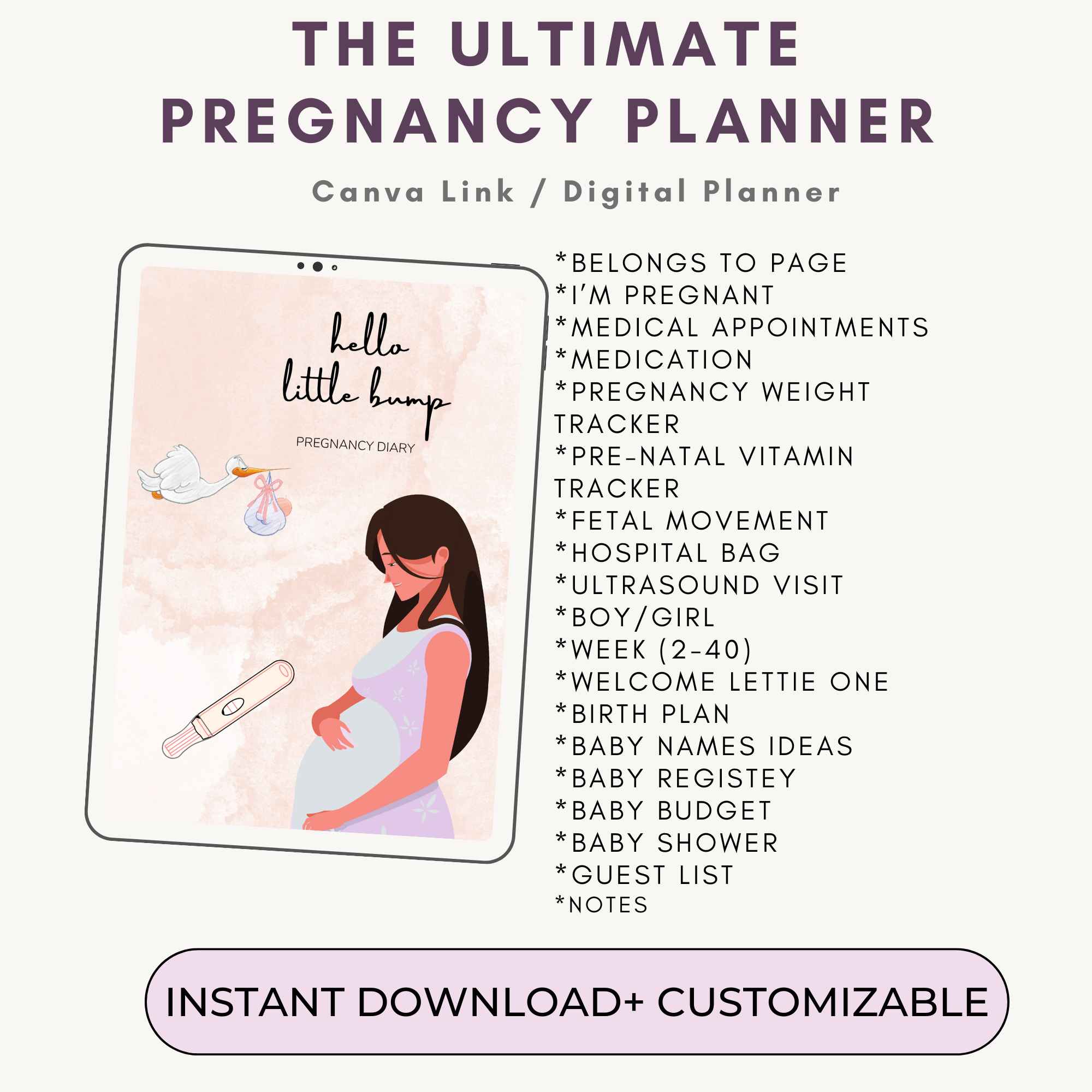 Printable Birth Plan Template